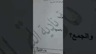 تاء التأنيث 