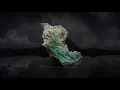 Lorn ~All Directions Are The Same