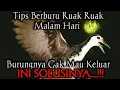Download Lagu MUDAHNYA BERBURU RUAK RUAK DENGAN TANGAN KOSONG