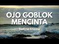 Lagu Safira Inema - Ojo Goblok Mencinta - Ojo nangis mergo tresno (Official Music Video Lyric)