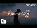 戚阿豪 - 我期待的不是雪 (男版)（Điều Anh Mong Đợi Không Phải Là Tuyết）『我期待的不是雪 而是有你的冬天，我期待的不是月 而是和你的遇見。』【動態歌詞MV】
