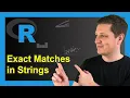 Find Count Exact Matches in Character Strings R 3 Examples which length grepl sum