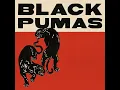 Black Pumas - OCT 33 [Live In Studio] (HD)
