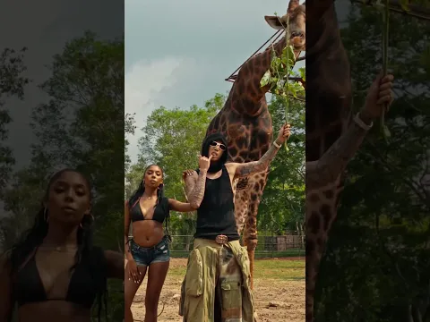 King Of The East MV Out Now