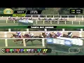 Tampa Bay Downs Live Stream