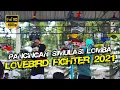 Download Lagu SIMULASI LOMBA LB FIGHTER | Pancingan Ampuh lovebird Dirumah Agar Semakin Gacor