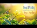 Download Lagu POWERFUL MORNING MUSIC - Boost Positive Energy | Wake Up With Motivation Flowing And Mindset Growing