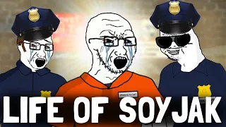 LIFE OF SOYJAK WOJAK DOOMER MEME