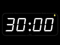 30 MINUTE TIMER ALARM COUNTDOWN