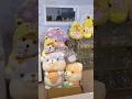 Boba Pup Santa Clara CA