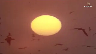 لا إله إلا الله لا معبود بحق سواه لا شريك له في ملكه ولا شريك له في عبادته 