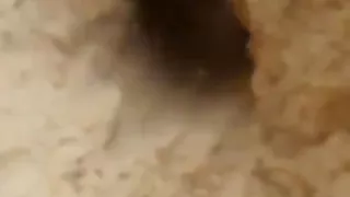 بعبوص دندنها