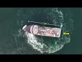 Download Lagu Unveiling of Seifjell - Aquaculture Fishing Vessel
