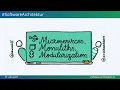 Microservices Monoliths Modularization with Chris Richardson
