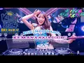 Download Lagu DJ BREAKBEAT KEMANA SAJA DIRIMU STYLE 2024 -  MUSIC GOYANG KUCING MEONG [ RIZKY MUTAHARI ].