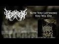 Download Lagu Vospison - you will die ( promo2018)