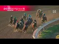 Race 26