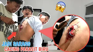 ASTAGA BENGKAK PARAH!! CACING PARASIT BIRU BERSARANG DI PUNGGUNG ARIK??😱 | Mikael TubeHD