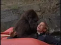 A Kiss From A Gorilla - George Of The Jungle