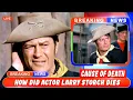 R I P How Did Larry Storch Die The Story of Actor Larry Storch Cause Of Death