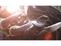 Download Lagu Dajjal - Dying (Official Video Footage)