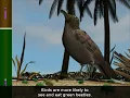 Mechanisms of Evolution