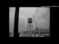 Young Seagull - 24 Hour CVS