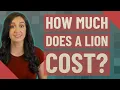 How much does a lion cost