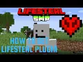 How to get the Lifesteal SMP Plugin