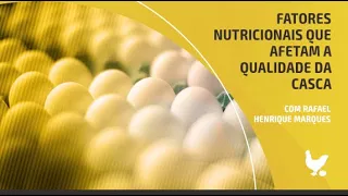 Qualidade da casca do ovo: os impactos dos fatores nutricionais
