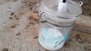 حلابة يدوية Manual Milking  حلابة يدوية Manual Milking