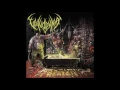 Download Lagu Vulvodynia - Drowned In Vomit (HQ) 2016