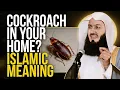 When Allah Lets a Cockroach Into Your Home There s a Lesson and Message in It Mufti Menk