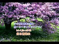 何日君再來  鄧麗君 Teresa Teng:  He ri jun zai lai