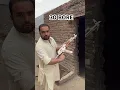 Download Lagu Mini Kalashnikov 30 Bore MP5 || Not For Sale Educational \u0026 Entertainment Video