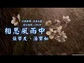 【華語好歌曲】張學友、湯寶如《相思風雨中》1990年代經典歌曲