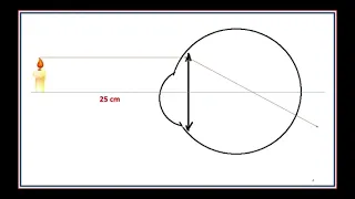 Aula 21 - Física - Óptica da Visão