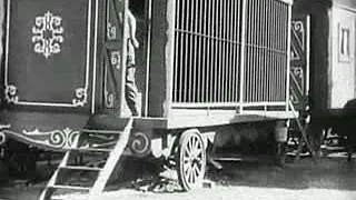 اسمر سمارك حلو لا يازماني لا لا 