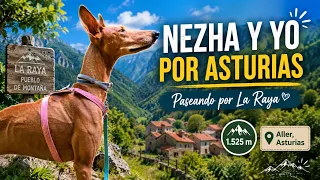 ❤️⛰️NEZHA Y YO NOS HEMOS VENIDO A PASEAR DE A LA RAYA (ASTURIAS)