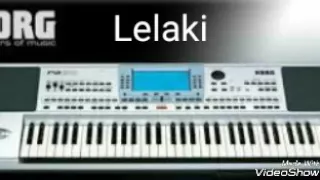 Download Karaoke LELAKI MP3