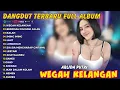 Lagu ARLIDA PUTRI FULL ALBUM WEGAH KELANGAN (Dangdut Koplo Terbaru 2025 Paling Viral)