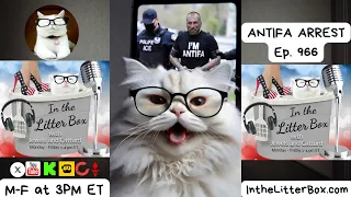 ANTIFA ARREST In the Litter Box w Jewels Jones Catturd - Ep 966