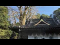 胎動 (stellar DJ Mix)