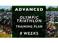 ADVANCED Olympic Triathlon Training Plan