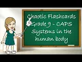 Flashcards - Systems in the human body Grade 9