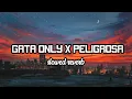 Download Lagu Gata Only x Peligrosa (Jr Stit Mashup) Slowed \u0026 Reverbed