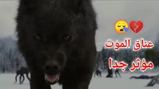 اجمل اغنية اجنبية حزينة Amorf Dido اجمل موسيقئ تركية حزينه هادئة فيديو حزين مؤثرا جدا  اجمل اغنية اجنبية حزينة Amorf Dido اجمل موسيقئ تركية حزينه هادئة فيديو حزين مؤثرا جدا