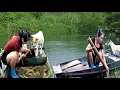Download Lagu One day of bumper hunting, the girl used bamboo tubes as traps to catch many giant EELs to sell.