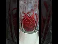 blender cabe merah keriting
