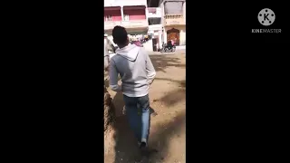 حصان بلدي  يهزم العربي الأصيل ف اللعب على مزمار صعيدي  احلا لعب هتشوفو ف حياتك   دندنها